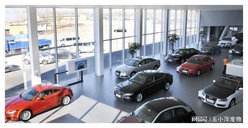 8200萬汽車消費券成功發放，汽車銷售行業或迎新爆發